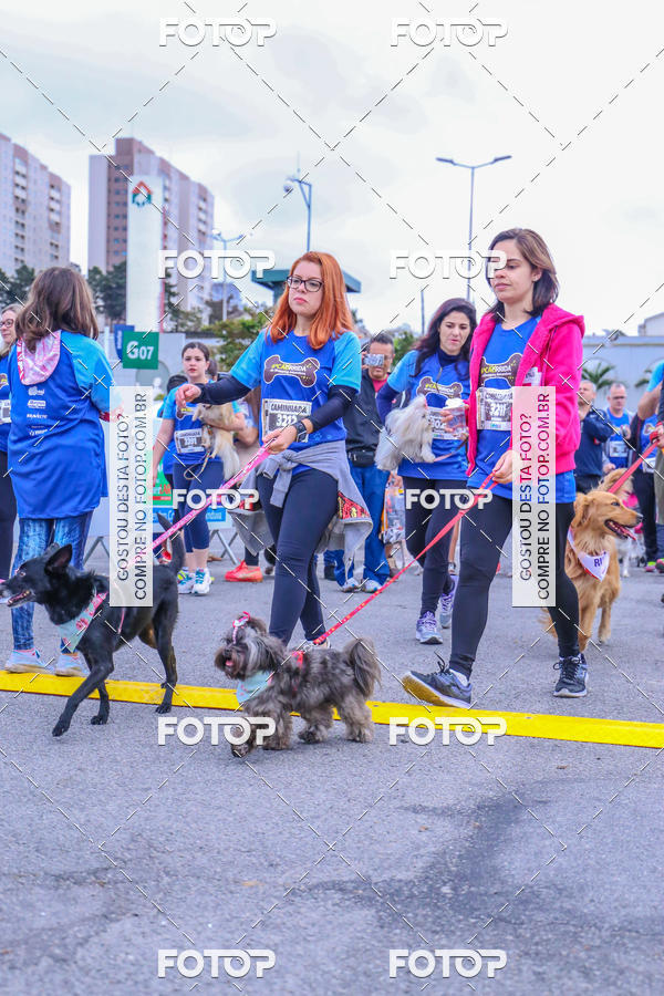 Buy your photos of the event6 Corrida do Shopping Aricanduva on Fotop