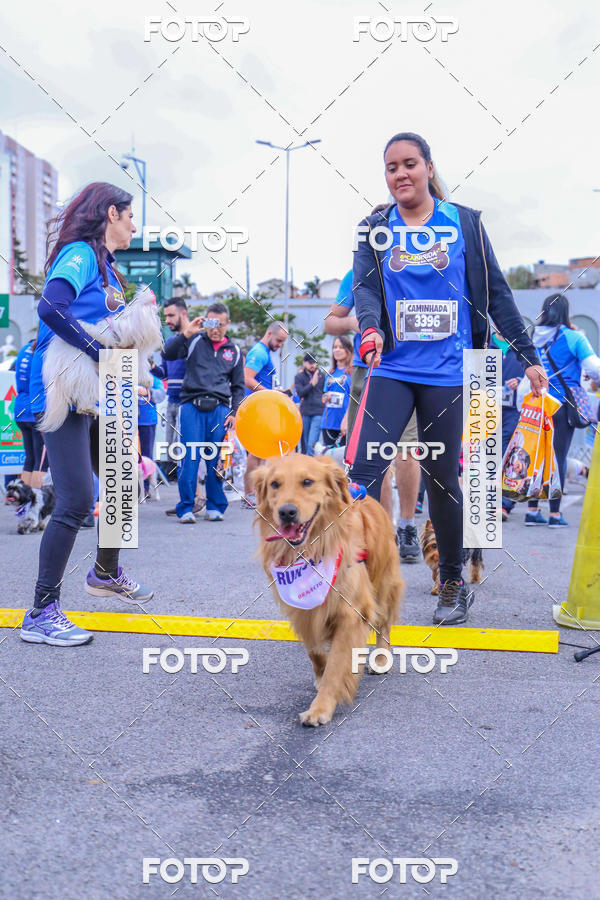 Buy your photos of the event6 Corrida do Shopping Aricanduva on Fotop