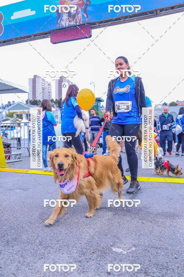 Buy your photos of the event6 Corrida do Shopping Aricanduva on Fotop