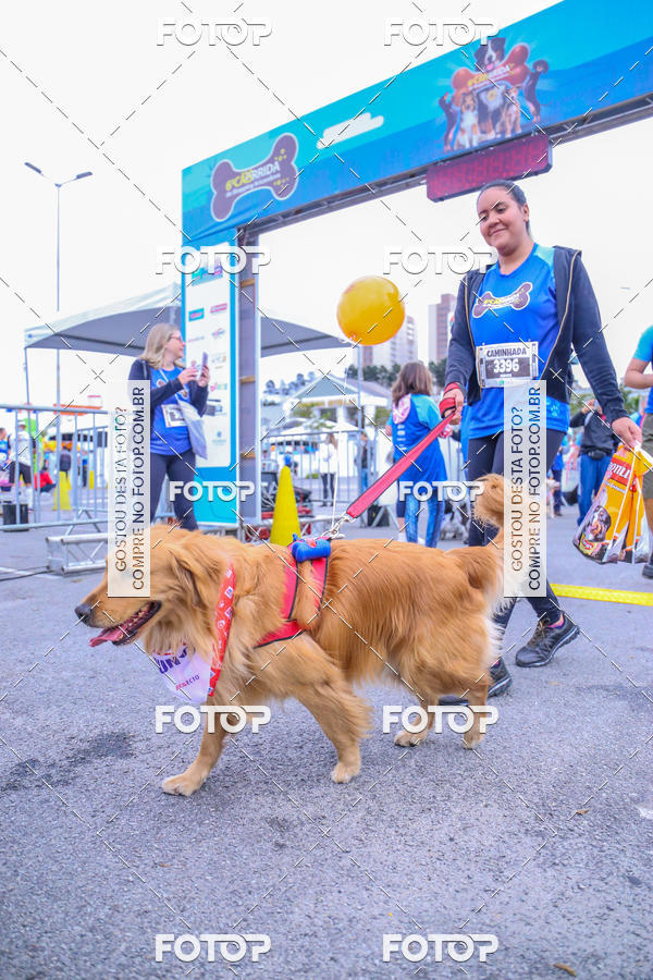 Buy your photos of the event6 Corrida do Shopping Aricanduva on Fotop