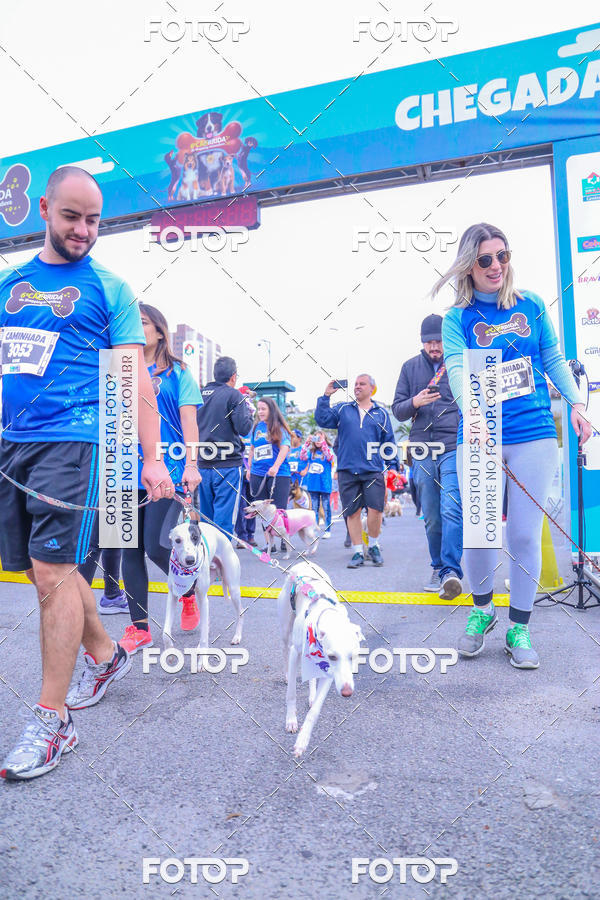 Buy your photos of the event6 Corrida do Shopping Aricanduva on Fotop