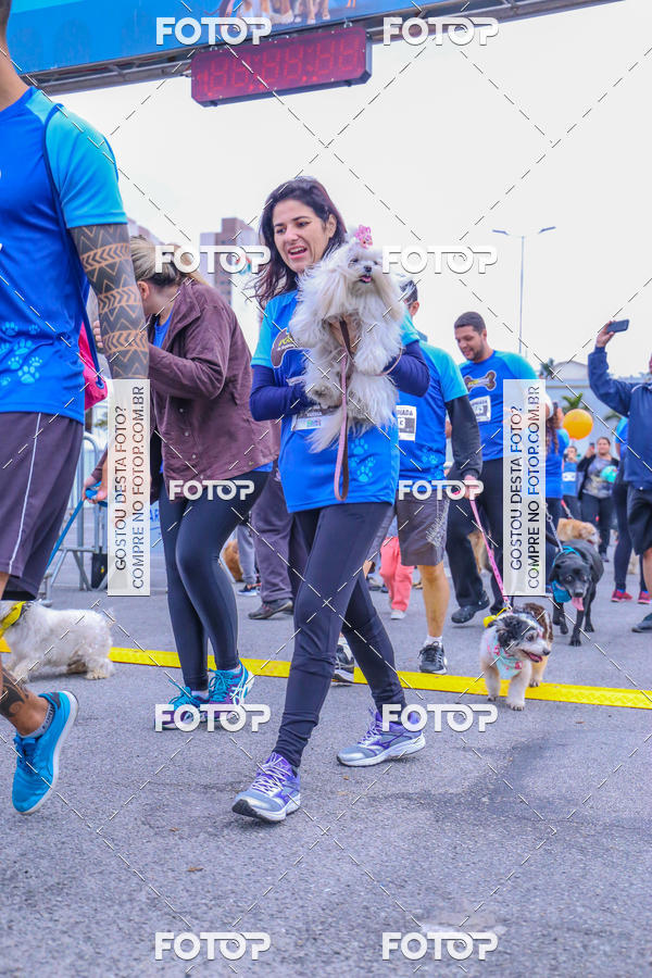 Buy your photos of the event6 Corrida do Shopping Aricanduva on Fotop