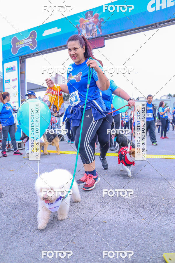 Buy your photos of the event6 Corrida do Shopping Aricanduva on Fotop