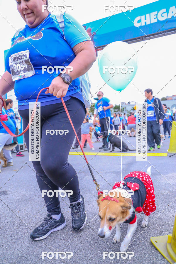 Buy your photos of the event6 Corrida do Shopping Aricanduva on Fotop