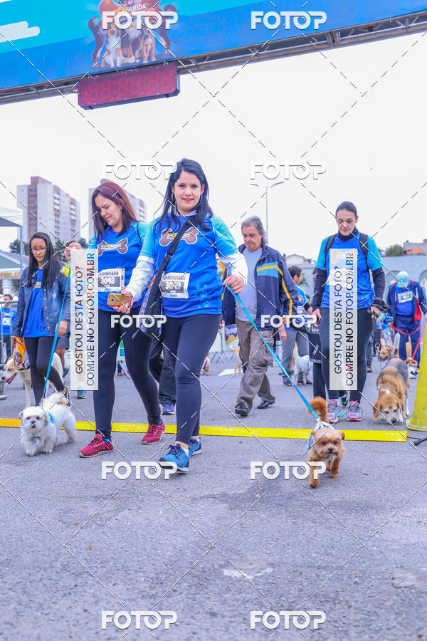 Buy your photos of the event6 Corrida do Shopping Aricanduva on Fotop