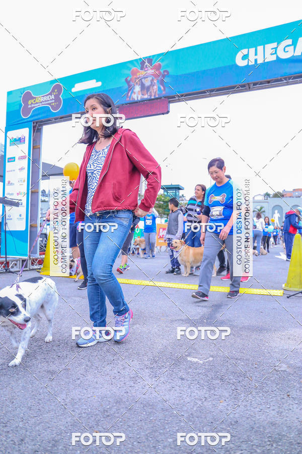 Buy your photos of the event6 Corrida do Shopping Aricanduva on Fotop