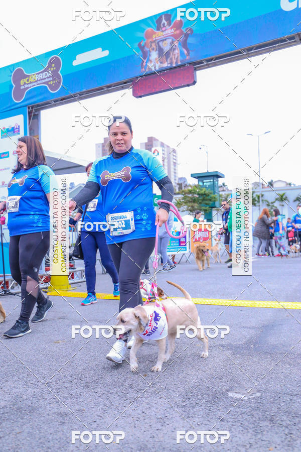 Buy your photos of the event6 Corrida do Shopping Aricanduva on Fotop