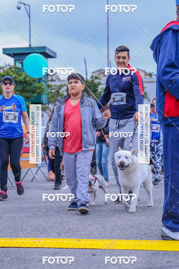 Buy your photos of the event6 Corrida do Shopping Aricanduva on Fotop
