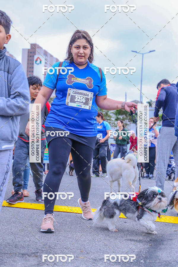 Buy your photos of the event6 Corrida do Shopping Aricanduva on Fotop