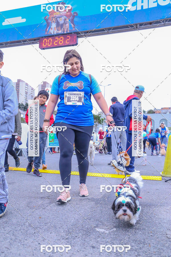 Buy your photos of the event6 Corrida do Shopping Aricanduva on Fotop