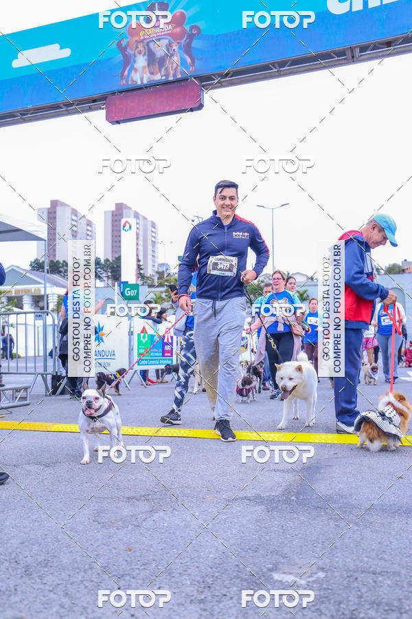 Buy your photos of the event6 Corrida do Shopping Aricanduva on Fotop