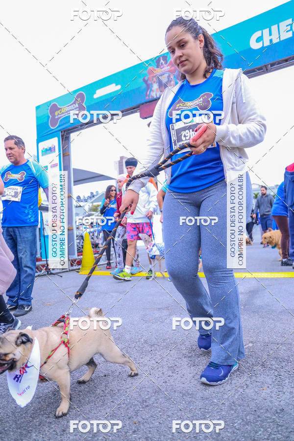 Buy your photos of the event6 Corrida do Shopping Aricanduva on Fotop