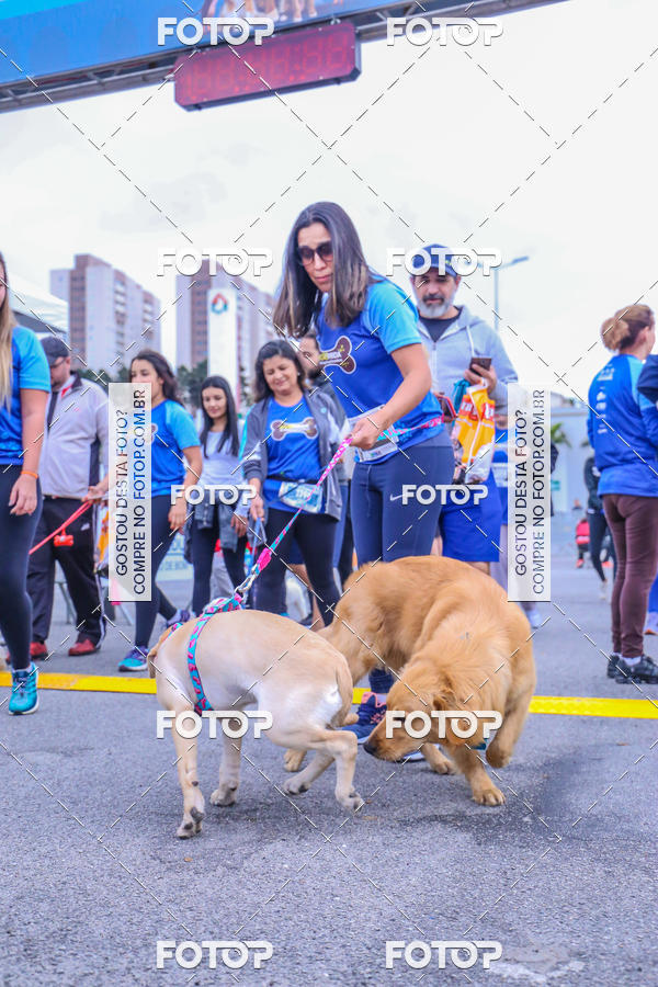 Buy your photos of the event6 Corrida do Shopping Aricanduva on Fotop