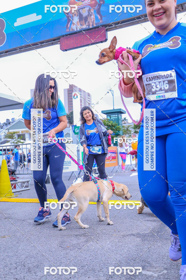 Buy your photos of the event6 Corrida do Shopping Aricanduva on Fotop