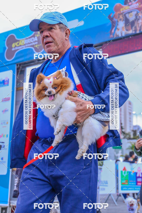 Buy your photos of the event6 Corrida do Shopping Aricanduva on Fotop