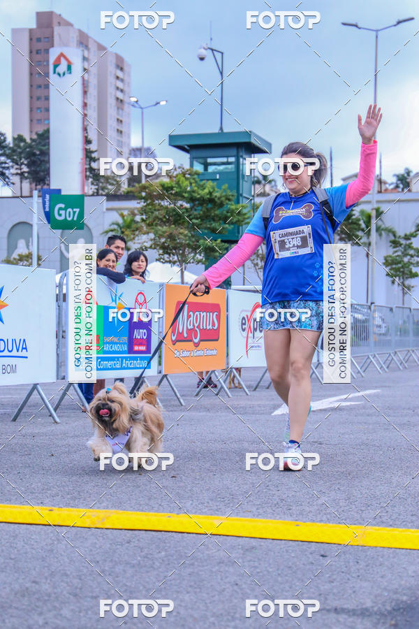 Buy your photos of the event6 Corrida do Shopping Aricanduva on Fotop