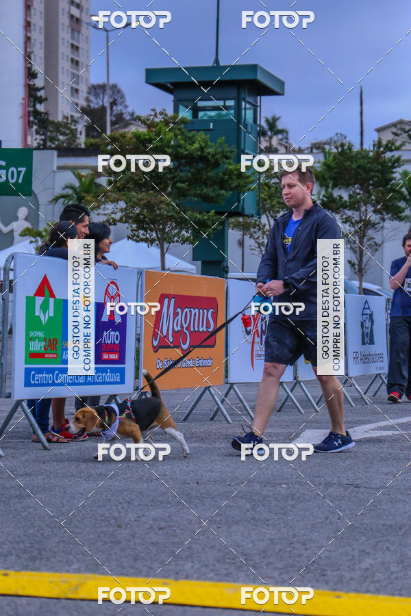 Buy your photos of the event6 Corrida do Shopping Aricanduva on Fotop