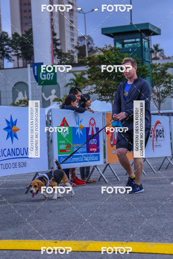 Buy your photos of the event6 Corrida do Shopping Aricanduva on Fotop
