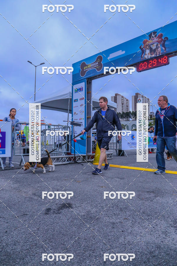 Buy your photos of the event6 Corrida do Shopping Aricanduva on Fotop