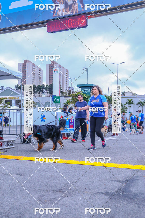 Buy your photos of the event6 Corrida do Shopping Aricanduva on Fotop