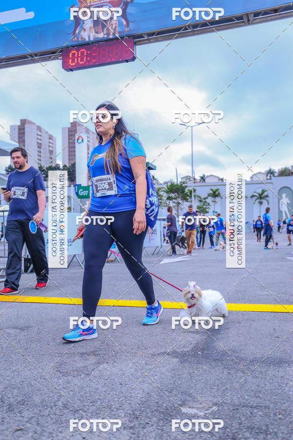 Buy your photos of the event6 Corrida do Shopping Aricanduva on Fotop