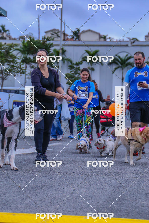 Buy your photos of the event6 Corrida do Shopping Aricanduva on Fotop