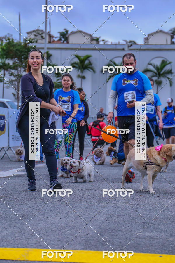 Buy your photos of the event6 Corrida do Shopping Aricanduva on Fotop