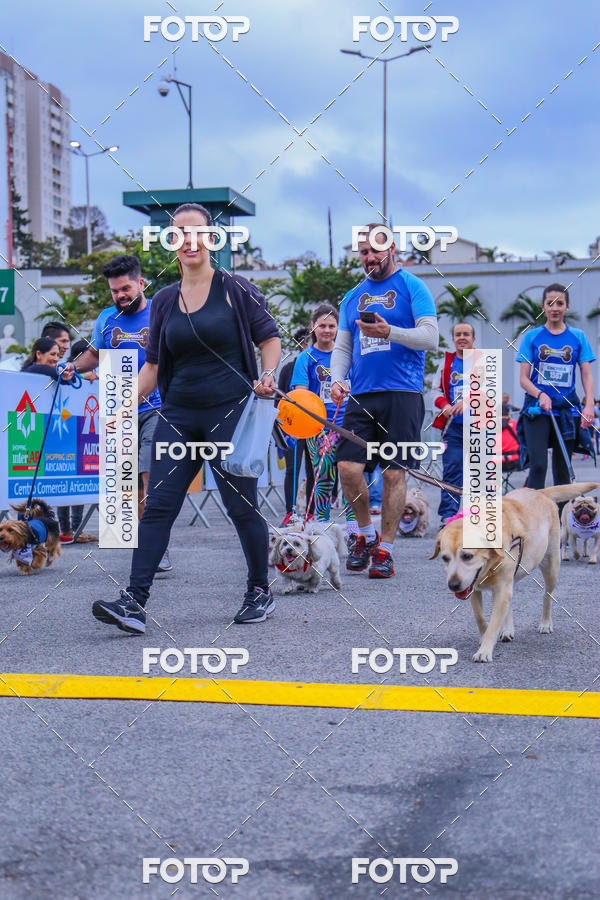 Buy your photos of the event6 Corrida do Shopping Aricanduva on Fotop