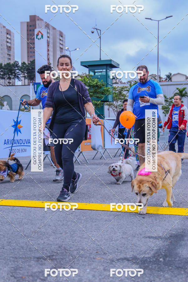 Buy your photos of the event6 Corrida do Shopping Aricanduva on Fotop