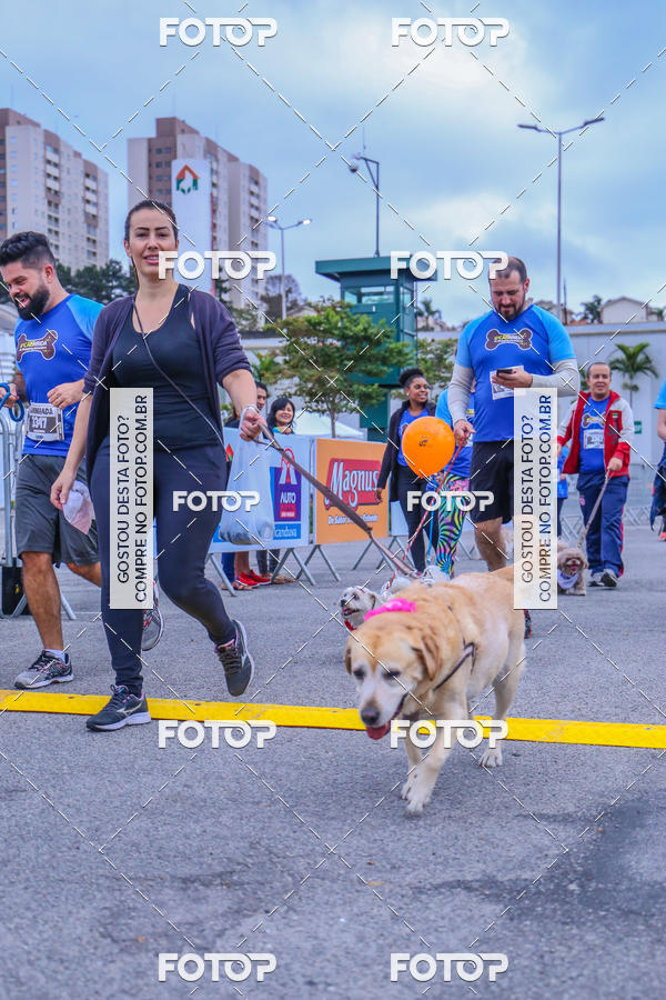 Buy your photos of the event6 Corrida do Shopping Aricanduva on Fotop
