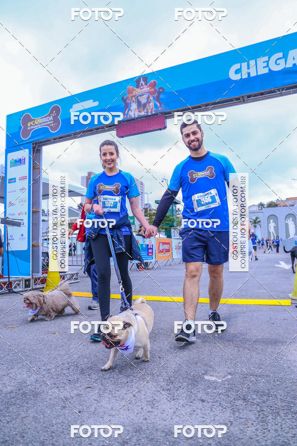 Buy your photos of the event6 Corrida do Shopping Aricanduva on Fotop