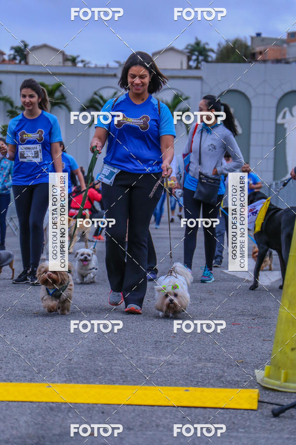 Buy your photos of the event6 Corrida do Shopping Aricanduva on Fotop