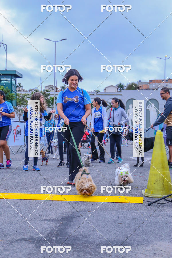 Buy your photos of the event6 Corrida do Shopping Aricanduva on Fotop