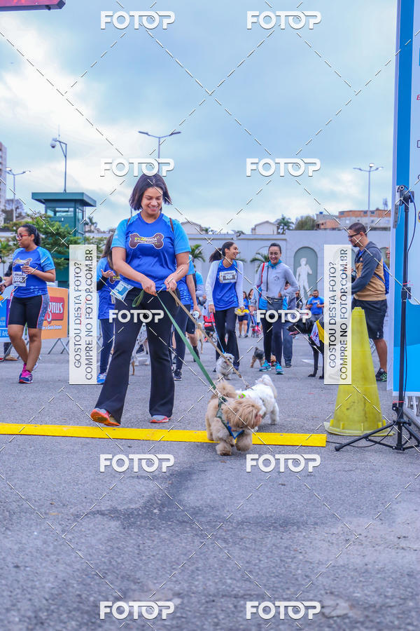 Buy your photos of the event6 Corrida do Shopping Aricanduva on Fotop