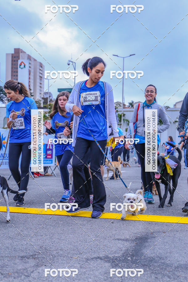 Buy your photos of the event6 Corrida do Shopping Aricanduva on Fotop
