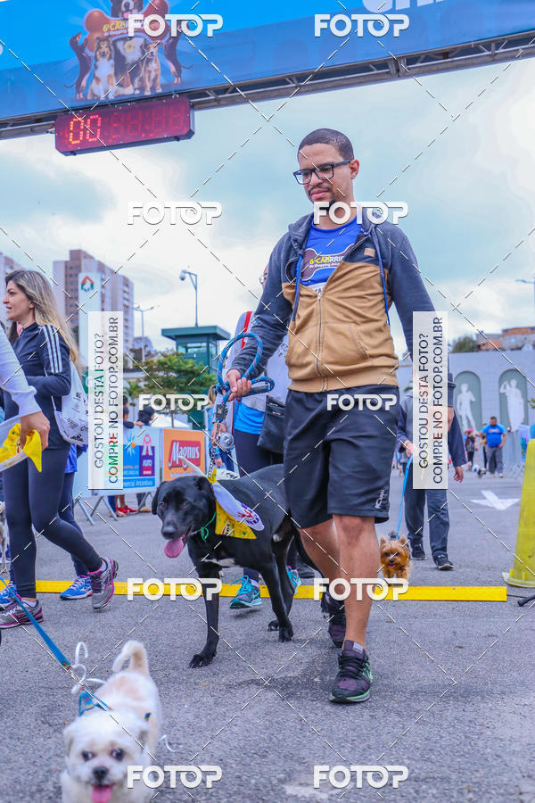Buy your photos of the event6 Corrida do Shopping Aricanduva on Fotop