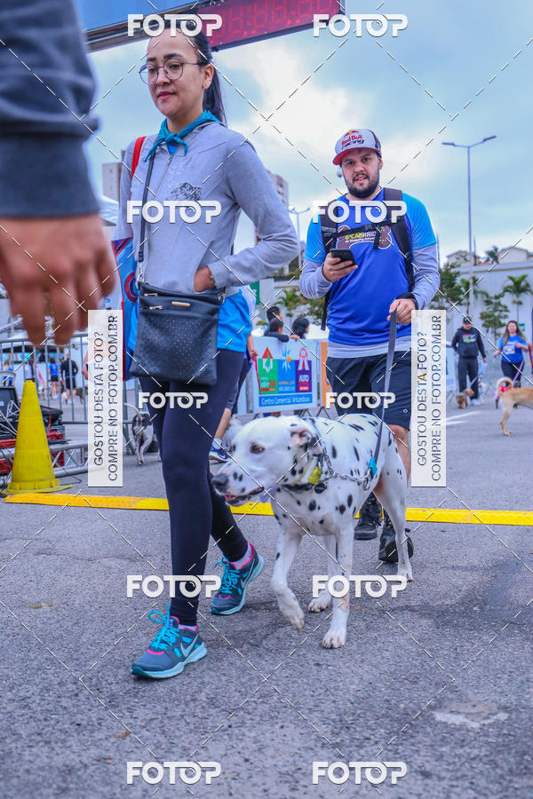 Buy your photos of the event6 Corrida do Shopping Aricanduva on Fotop