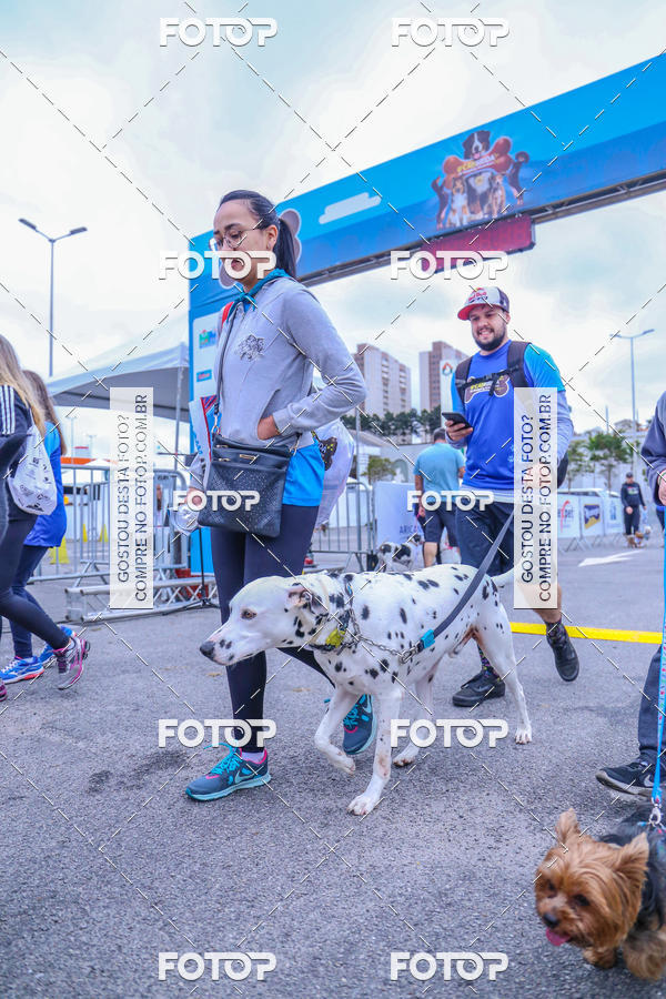 Buy your photos of the event6 Corrida do Shopping Aricanduva on Fotop