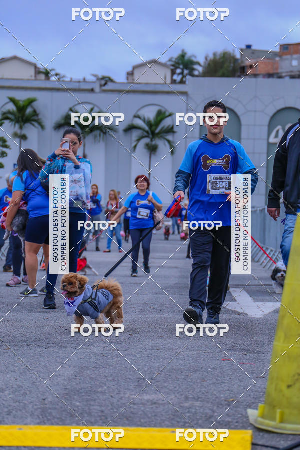 Buy your photos of the event6 Corrida do Shopping Aricanduva on Fotop