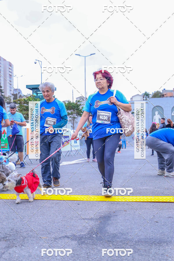 Buy your photos of the event6 Corrida do Shopping Aricanduva on Fotop