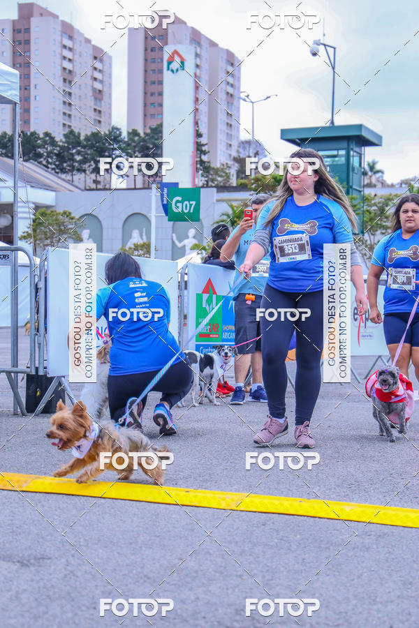 Buy your photos of the event6 Corrida do Shopping Aricanduva on Fotop