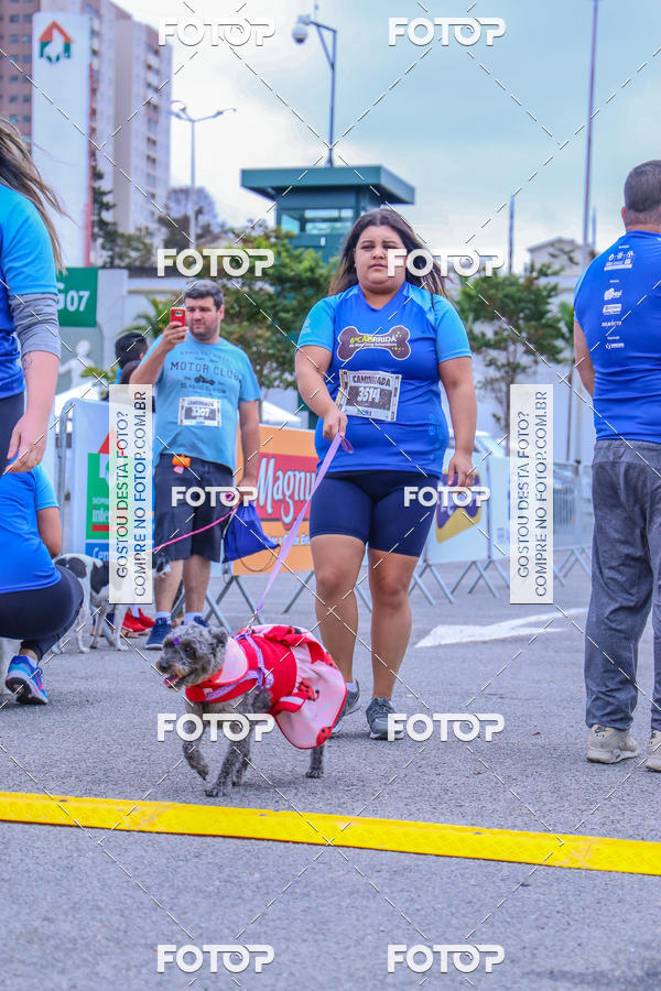 Buy your photos of the event6 Corrida do Shopping Aricanduva on Fotop