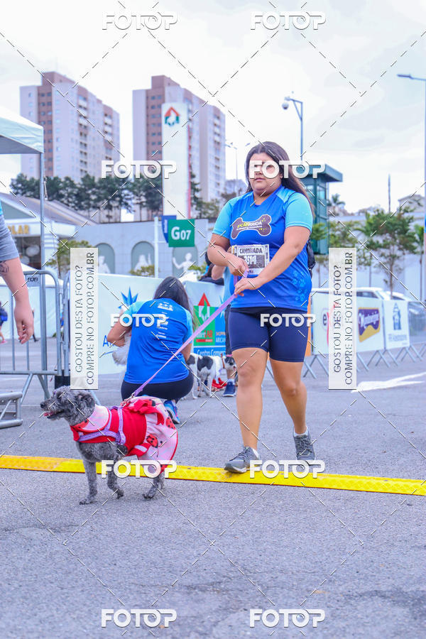 Buy your photos of the event6 Corrida do Shopping Aricanduva on Fotop