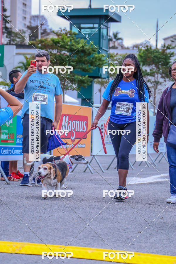 Buy your photos of the event6 Corrida do Shopping Aricanduva on Fotop