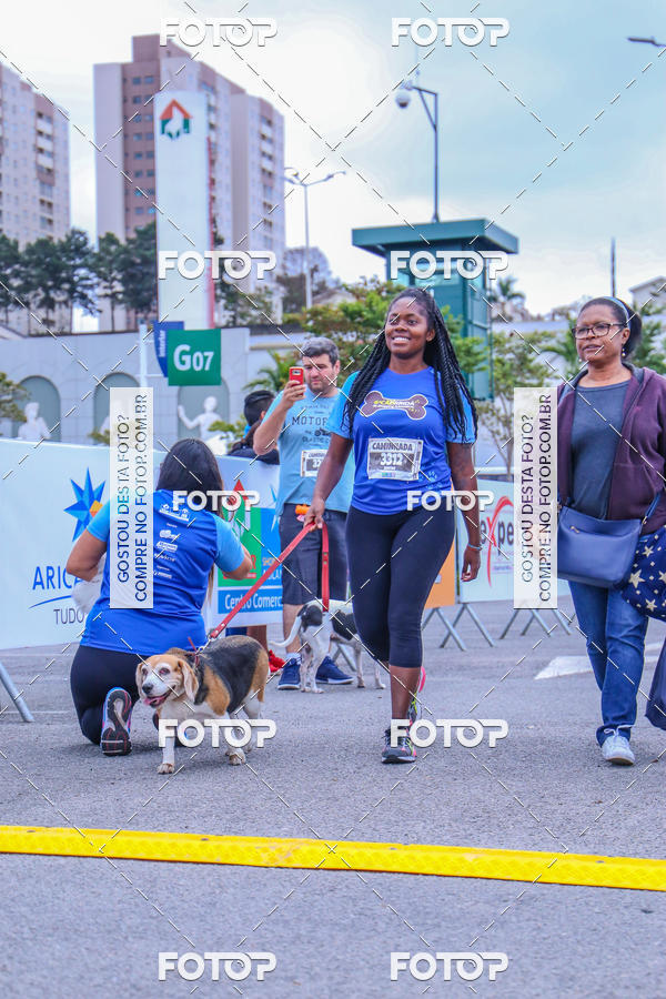 Buy your photos of the event6 Corrida do Shopping Aricanduva on Fotop