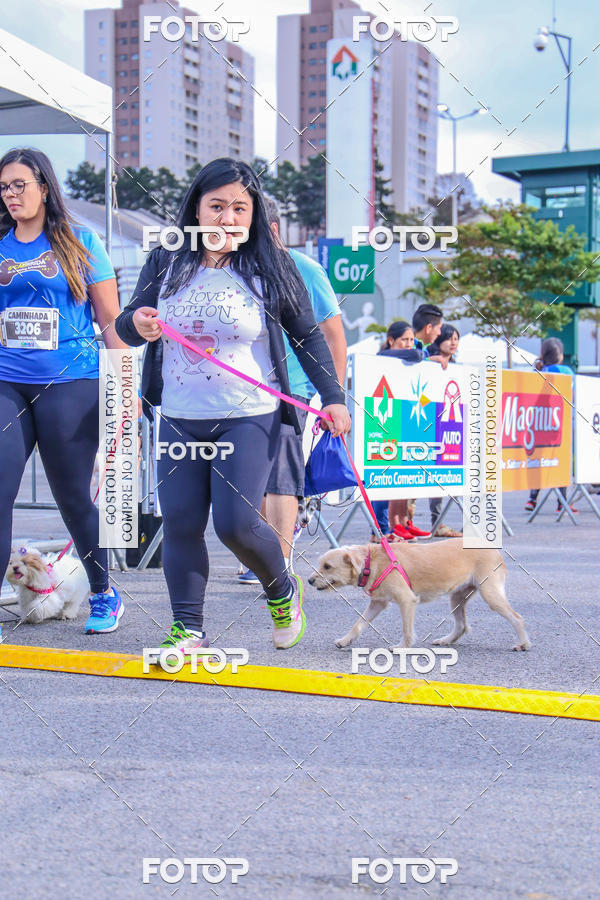 Buy your photos of the event6 Corrida do Shopping Aricanduva on Fotop
