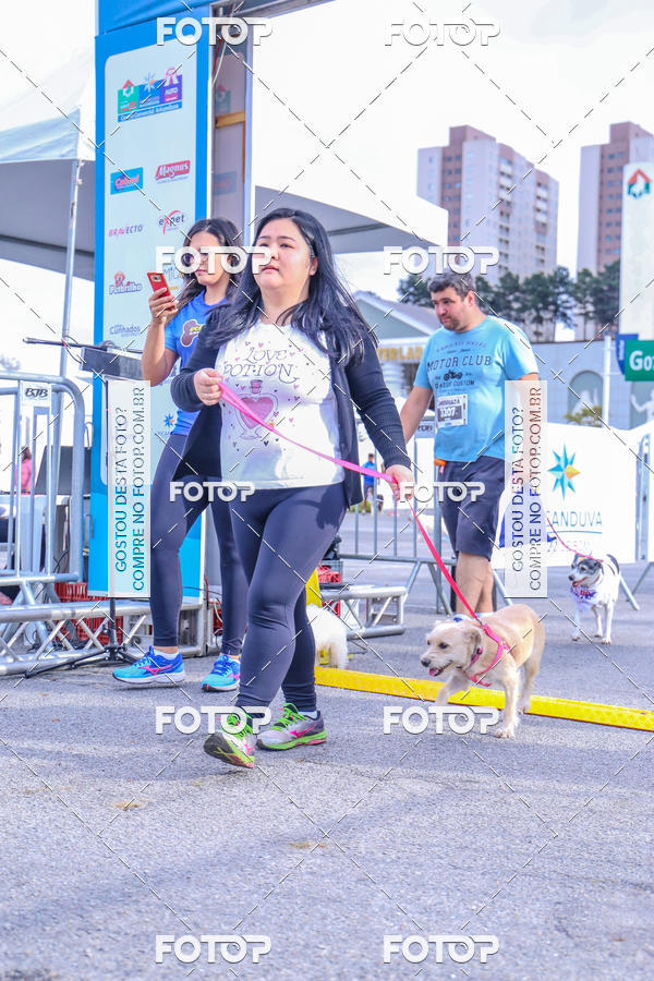 Buy your photos of the event6 Corrida do Shopping Aricanduva on Fotop