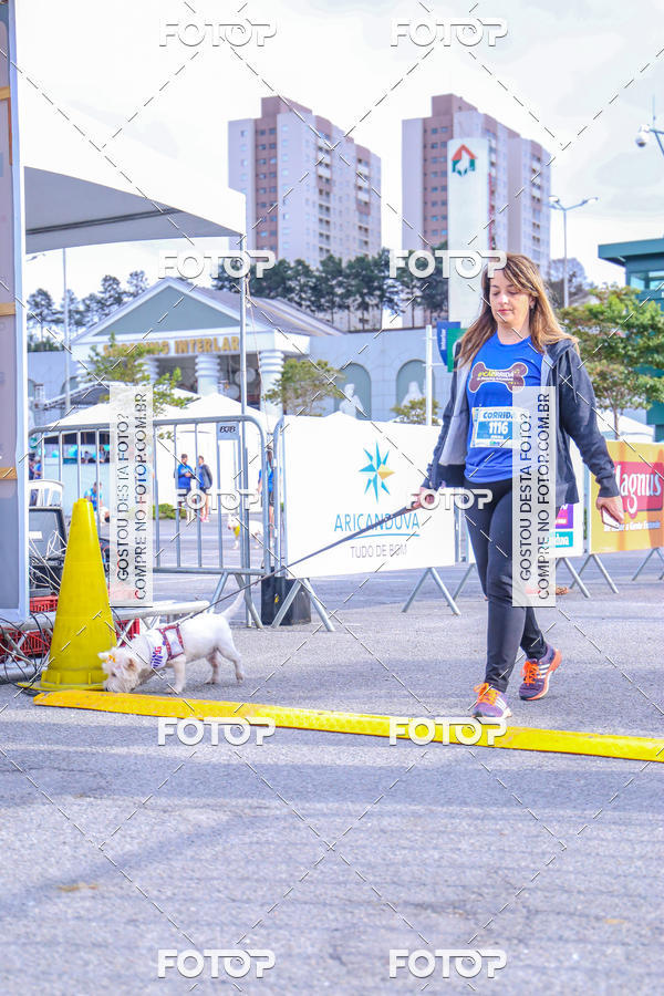 Buy your photos of the event6 Corrida do Shopping Aricanduva on Fotop