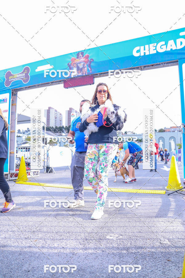 Buy your photos of the event6 Corrida do Shopping Aricanduva on Fotop