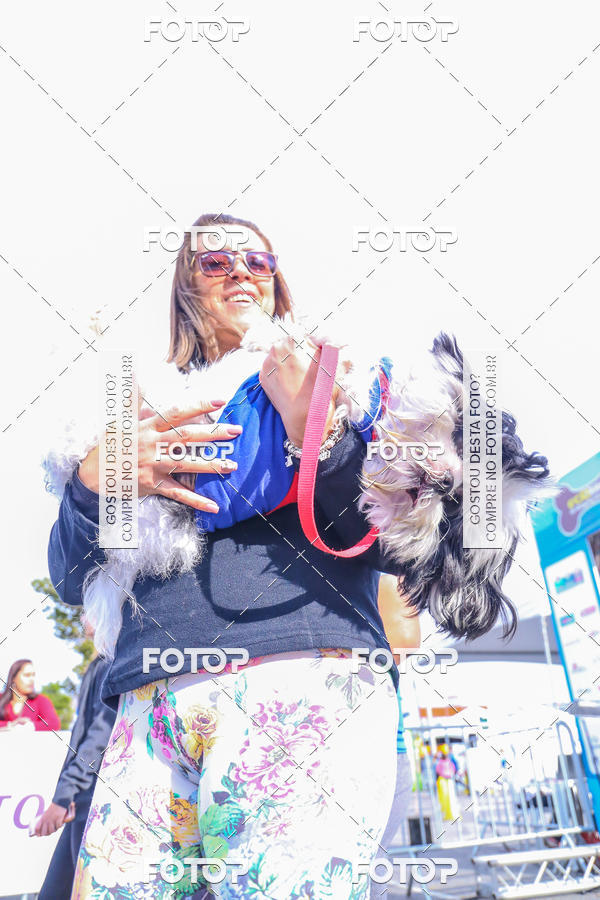 Buy your photos of the event6 Corrida do Shopping Aricanduva on Fotop